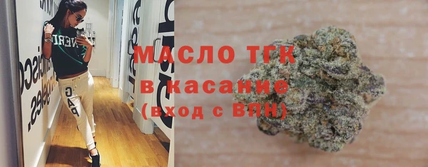 мдпв Елабуга