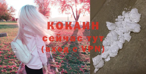 мдпв Елабуга