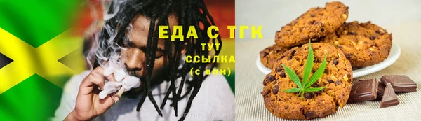 мдпв Елабуга