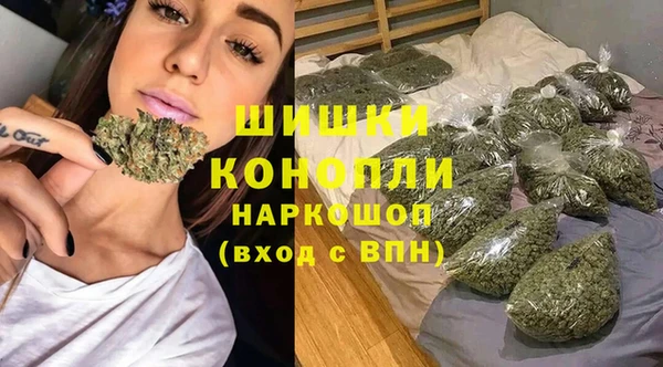 мдпв Елабуга