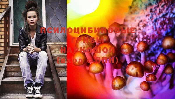 амфетамин Елизово