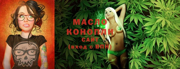 мдпв Елабуга