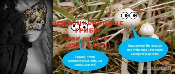 амфетамин Елизово
