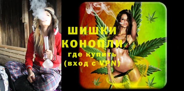 мдпв Елабуга