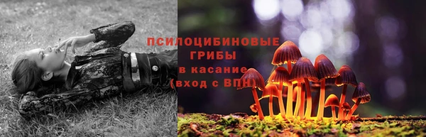 амфетамин Елизово
